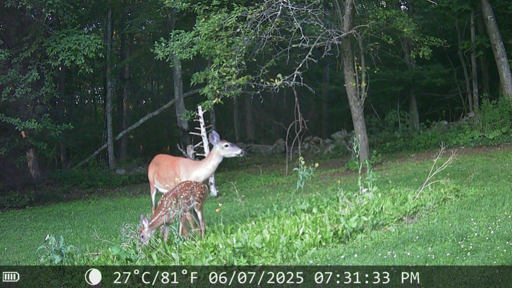 IMG_0161.jpg