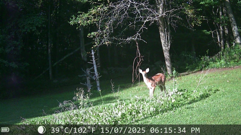 IMG_0163.jpg