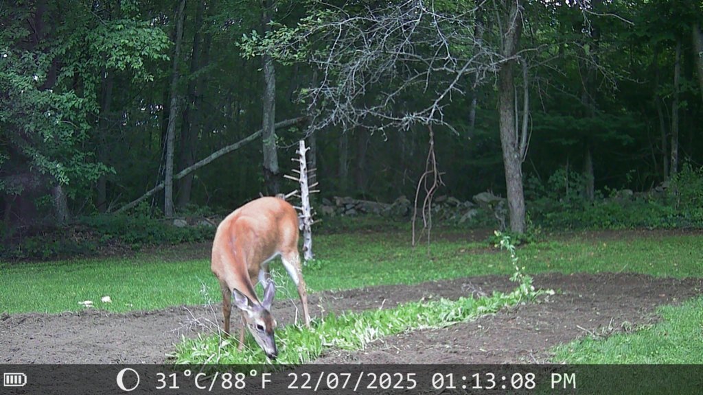IMG_0164.jpg