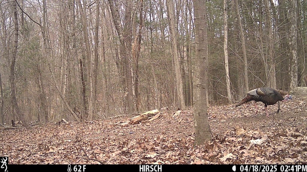 IMG_0169.jpg