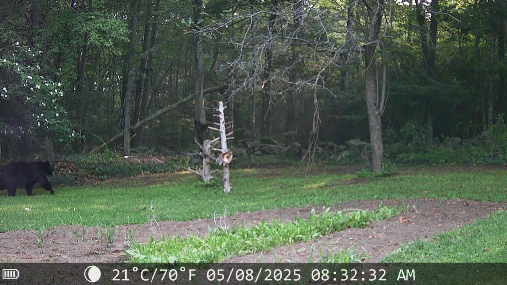 IMG_0172.jpg