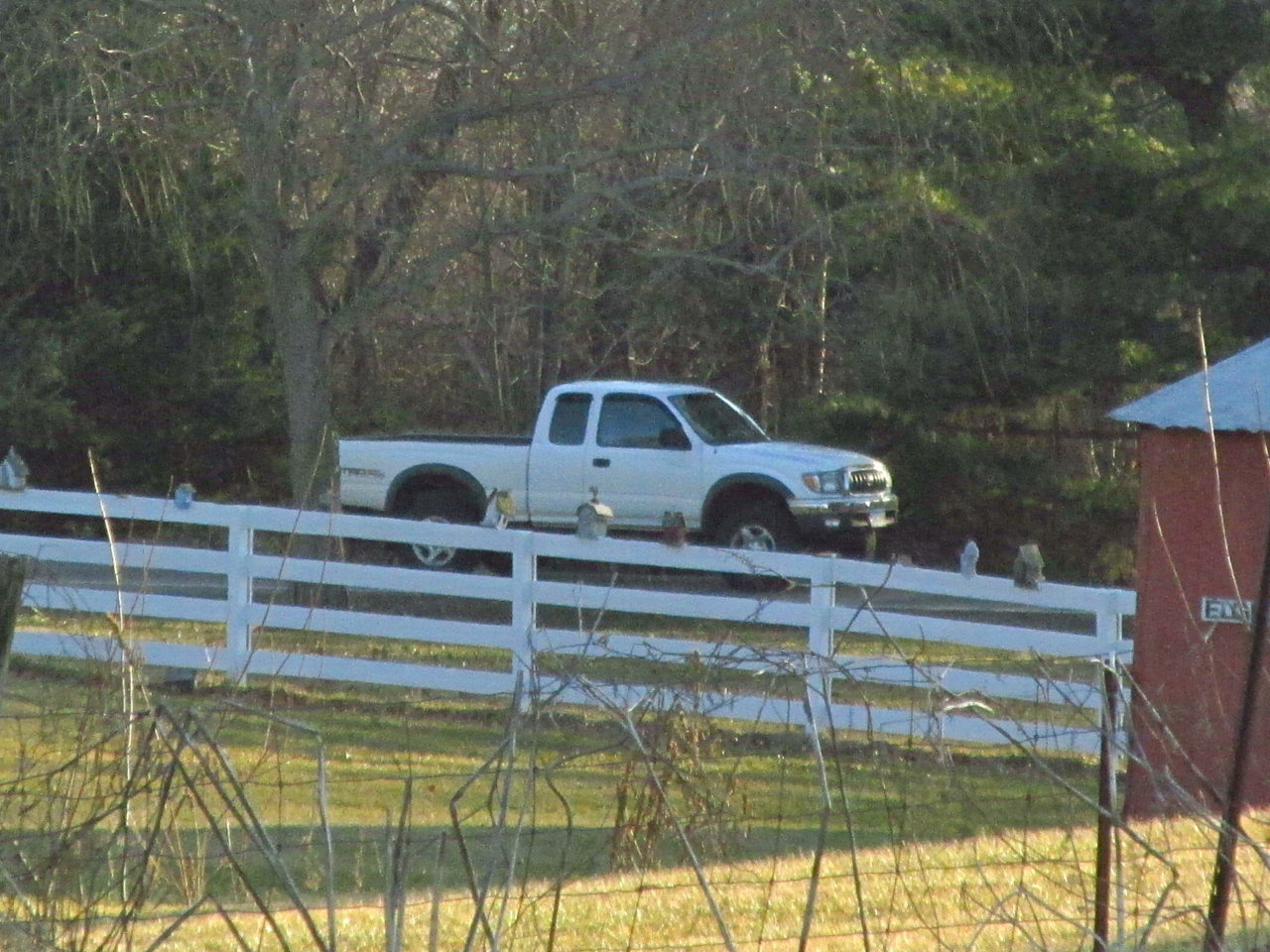 IMG_0176.jpg