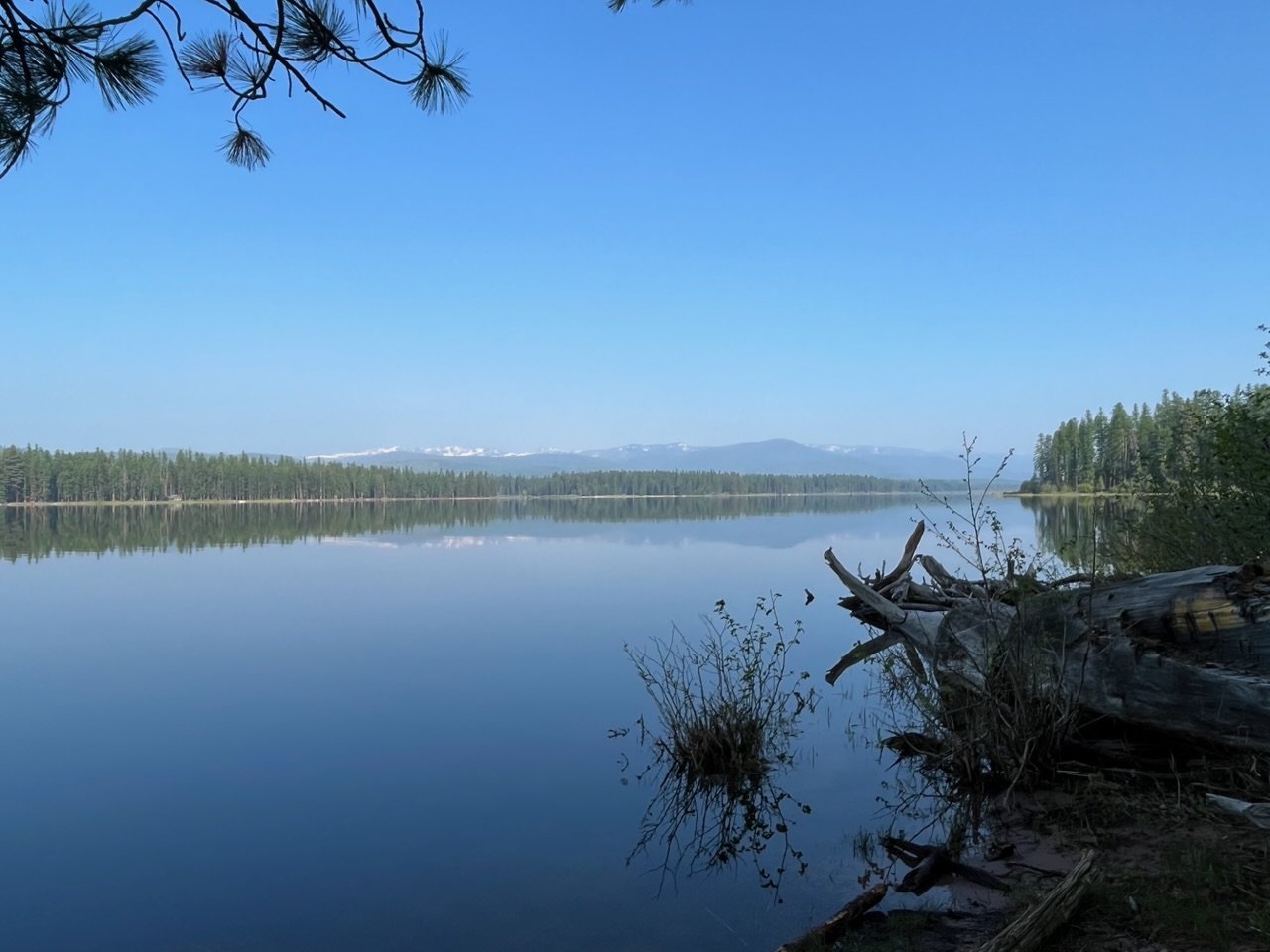 IMG_0183.jpg