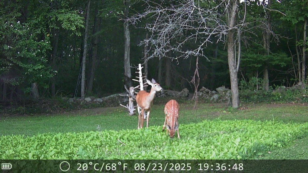 IMG_0183.jpg