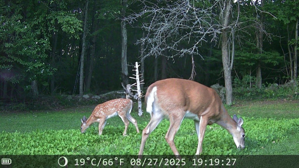 IMG_0184.jpg