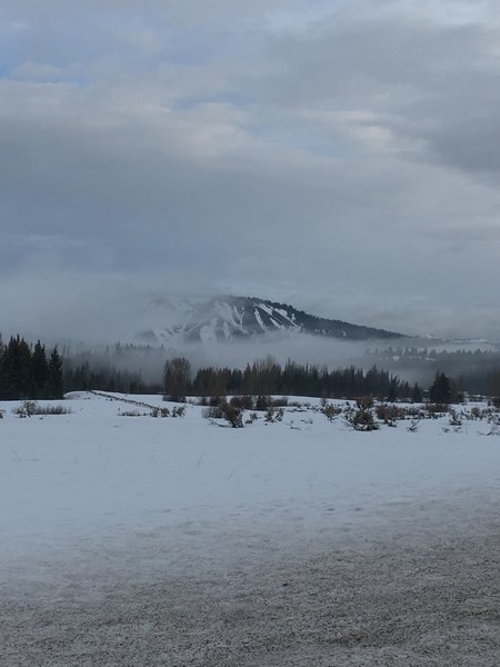 IMG_0185.jpg
