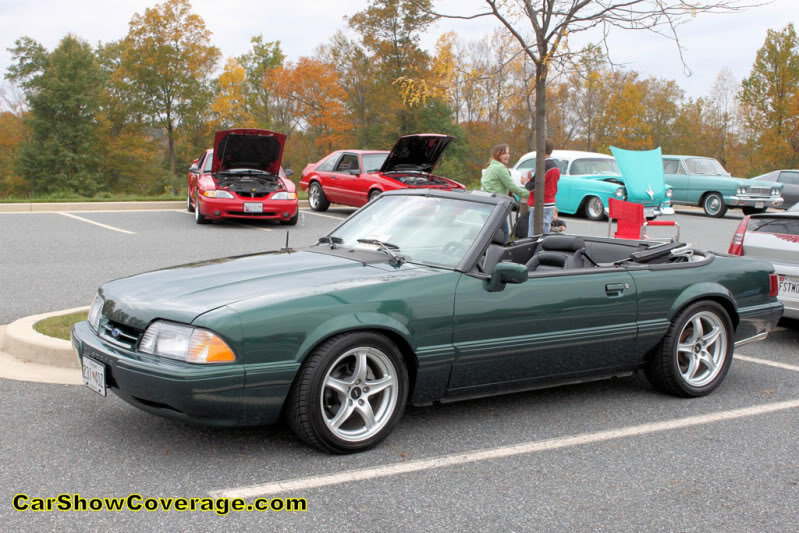IMG_0192_09f503e6a913661f602ca6fb38410f69f2ae8cba.jpg