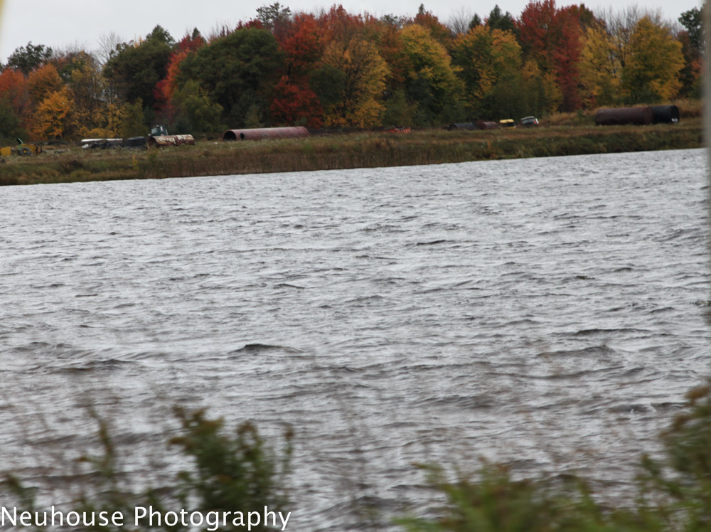 IMG_0195-6_8b28508c2cf08800fa74cccf5f47614d89f615a9.jpg