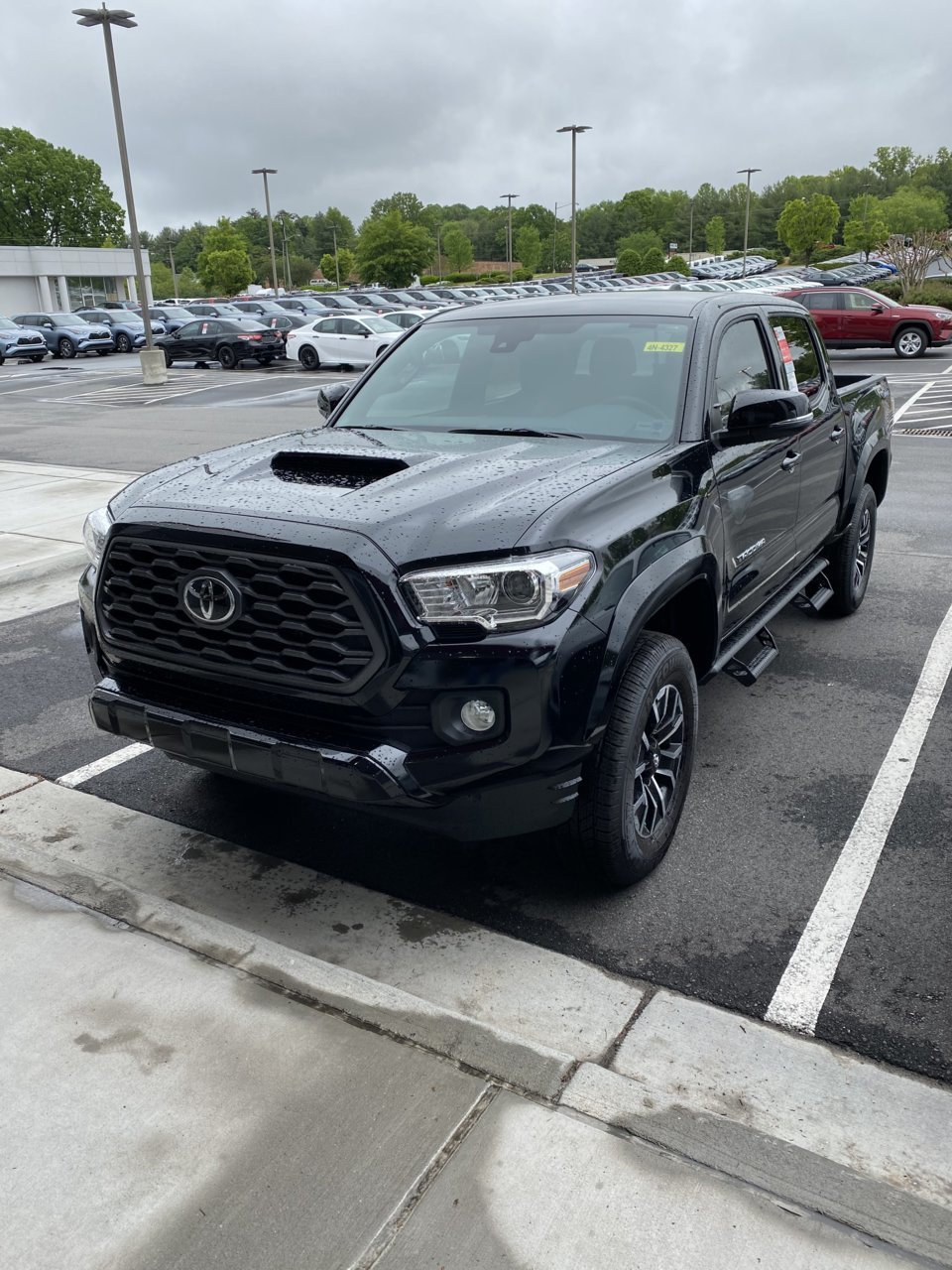 IMG_0202[1].jpg