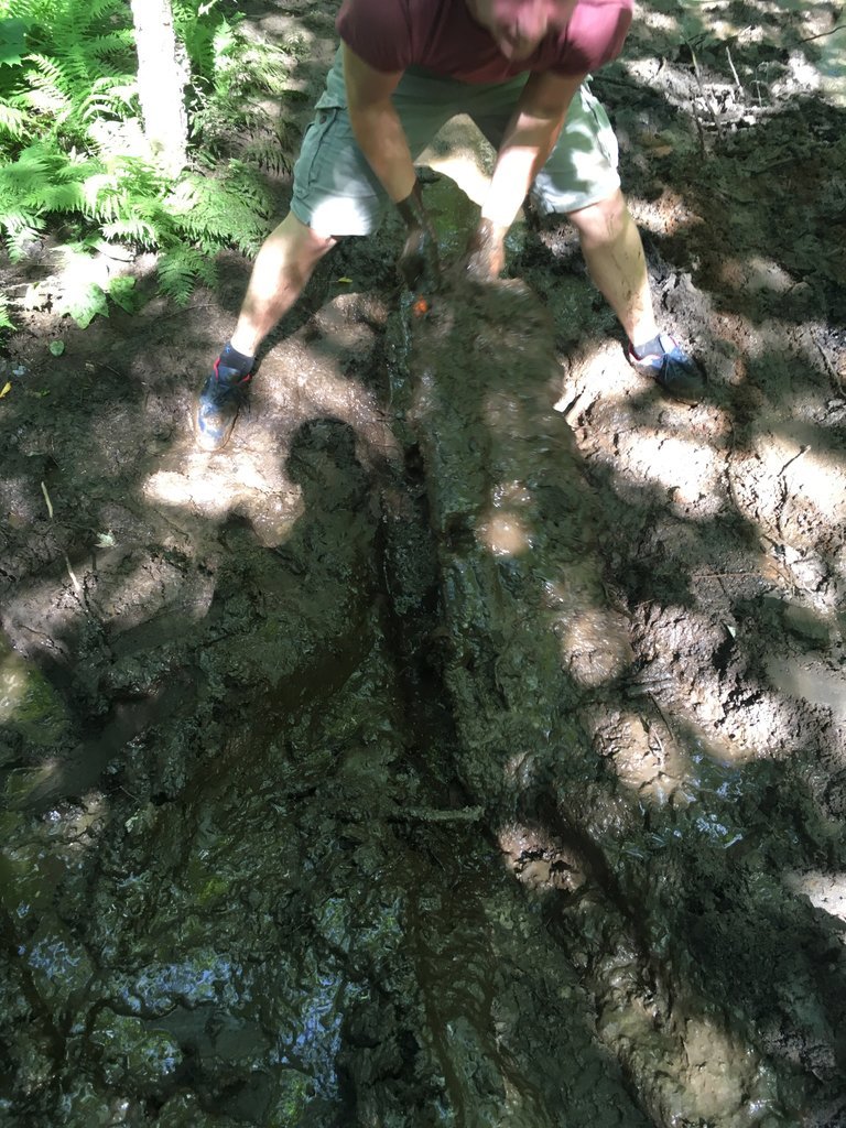 IMG_0206.jpg