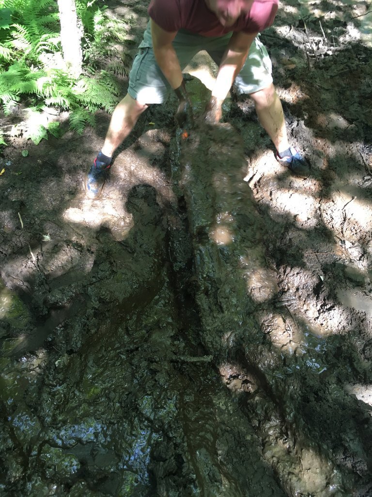 IMG_0206.jpg