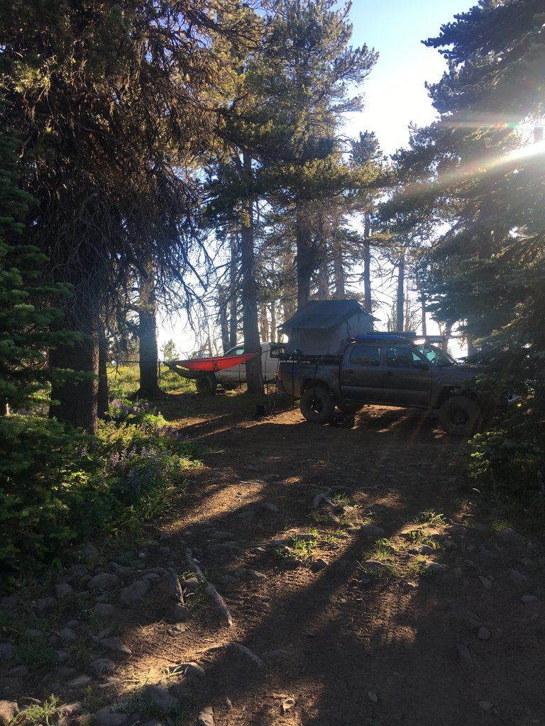 IMG_0214.jpg