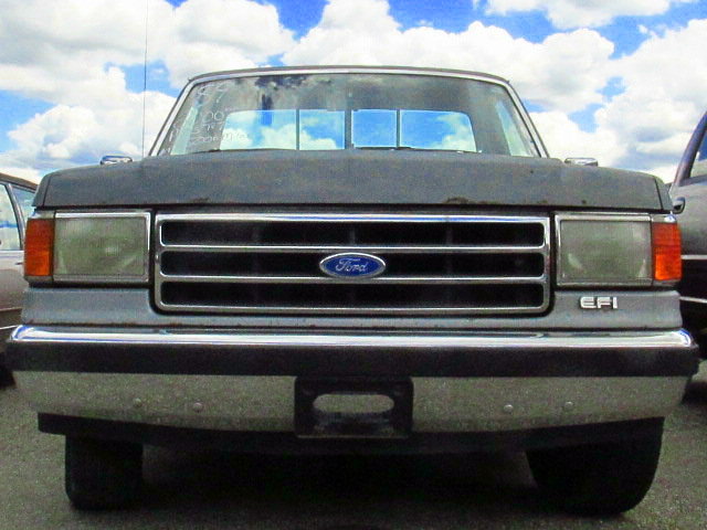IMG_0219.jpg