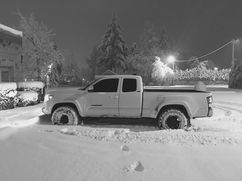 IMG_0228.jpg