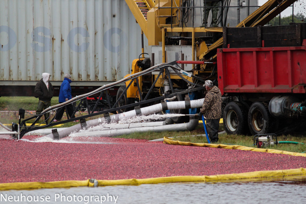 IMG_0236-19_65a9ef94813c0588275b3817c97cbd1359c928aa.jpg