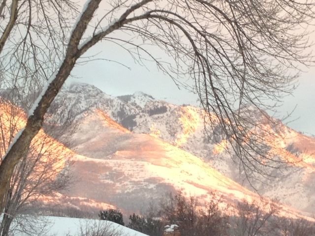 IMG_0236.jpg
