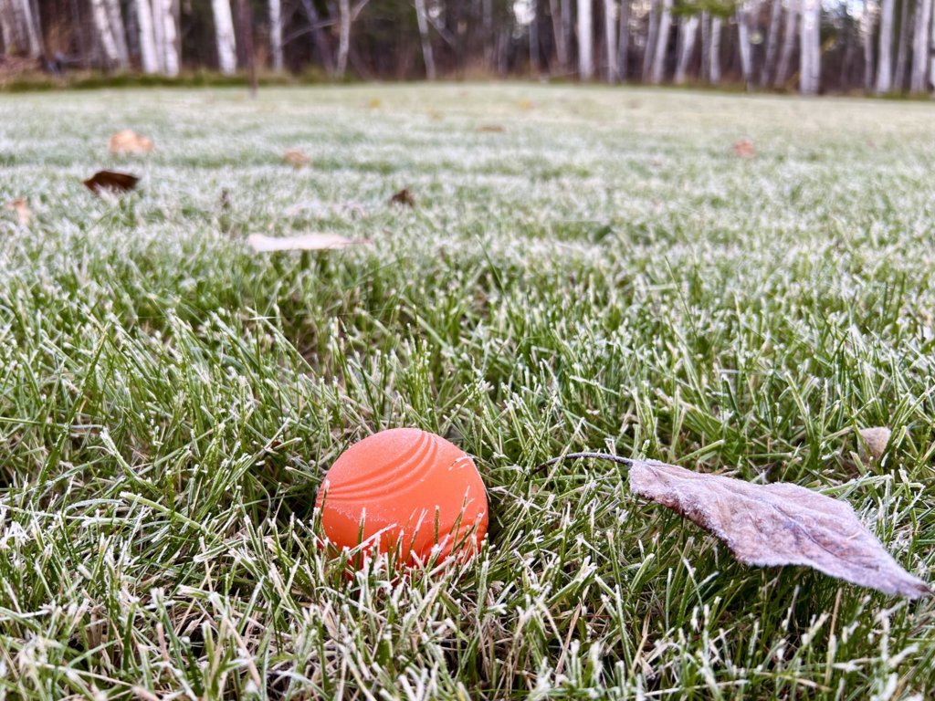 IMG_0244.jpg