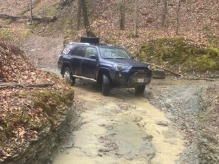 IMG_0281.jpg
