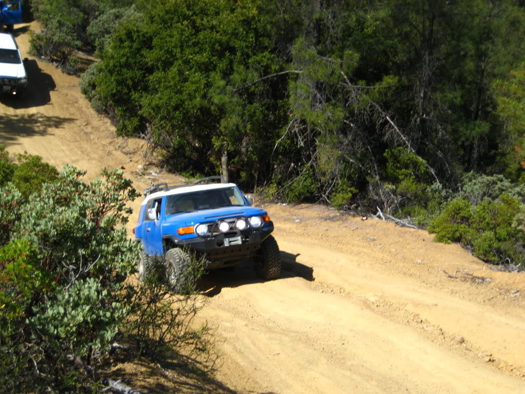 IMG_0296_2643ae8af2173ea44b27e8d61497a266abc95574.jpg
