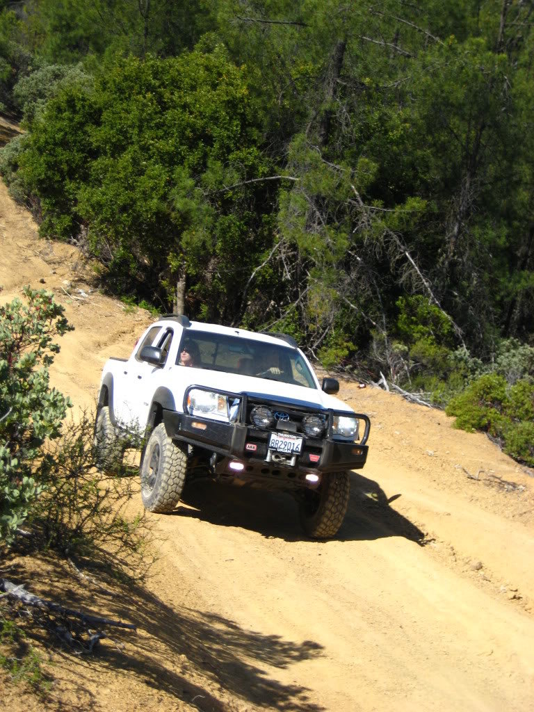 IMG_0299_8b4572cc4a19b22f6e074b2d4d087e0dd2000b19.jpg