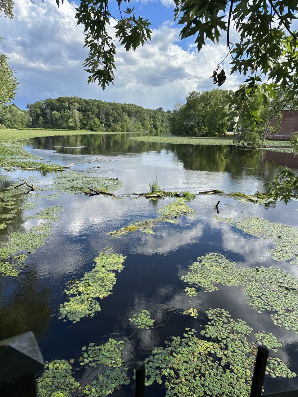 IMG_0308.jpg