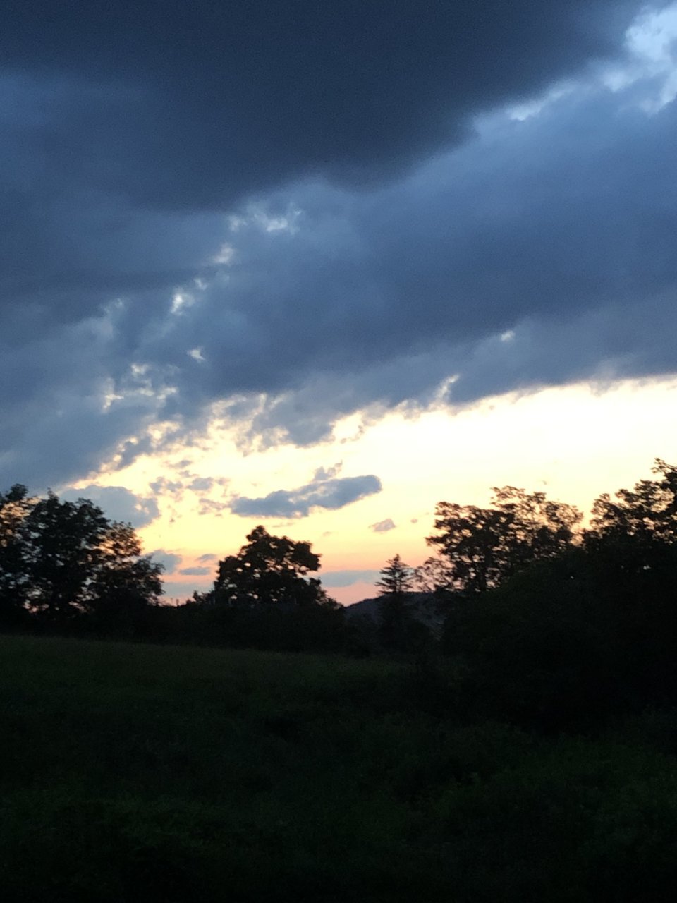 IMG_0319.jpg