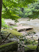IMG_0325.jpg