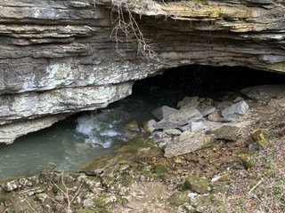 IMG_0336.jpg