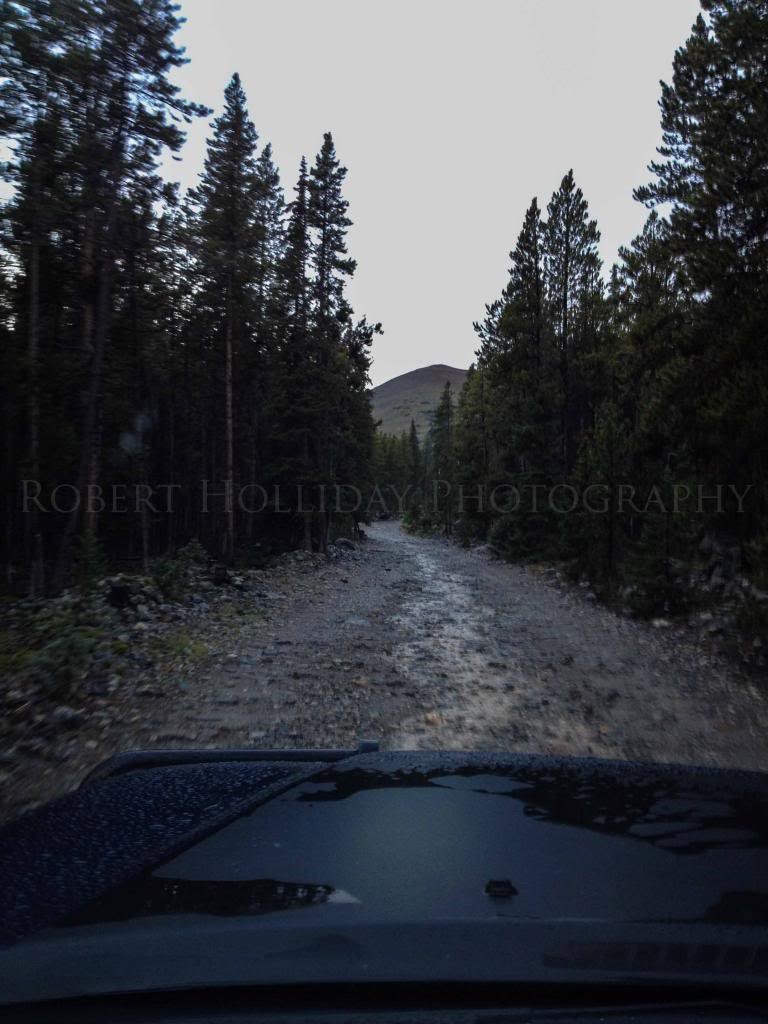 IMG_0339-1_zps18ed7f0e_20b71ead5b1c9bc1f1f7cd6bec8dfdee269dd96b.jpg