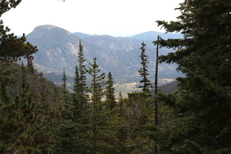 IMG_0344 - Copy.jpg