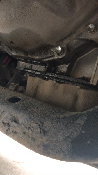 subaru rear main seal replacement cost