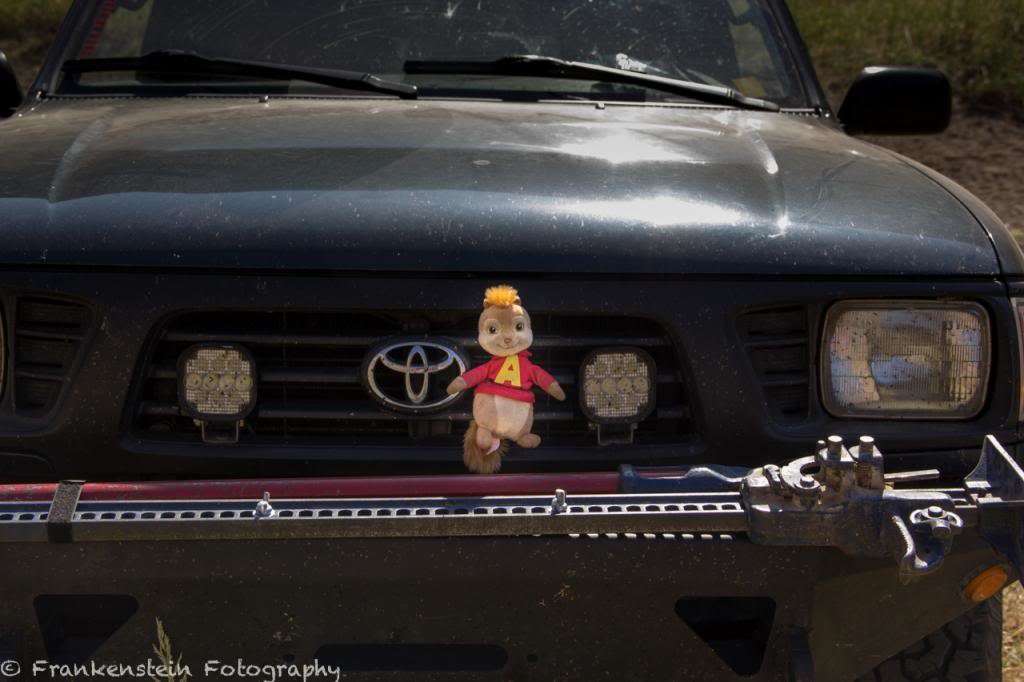 IMG_0368_zpsc5a63718_6b7c46e7c6e4cdba224f562fa69a5bfd01d94e81.jpg
