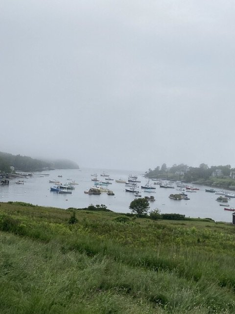 IMG_0373.jpg