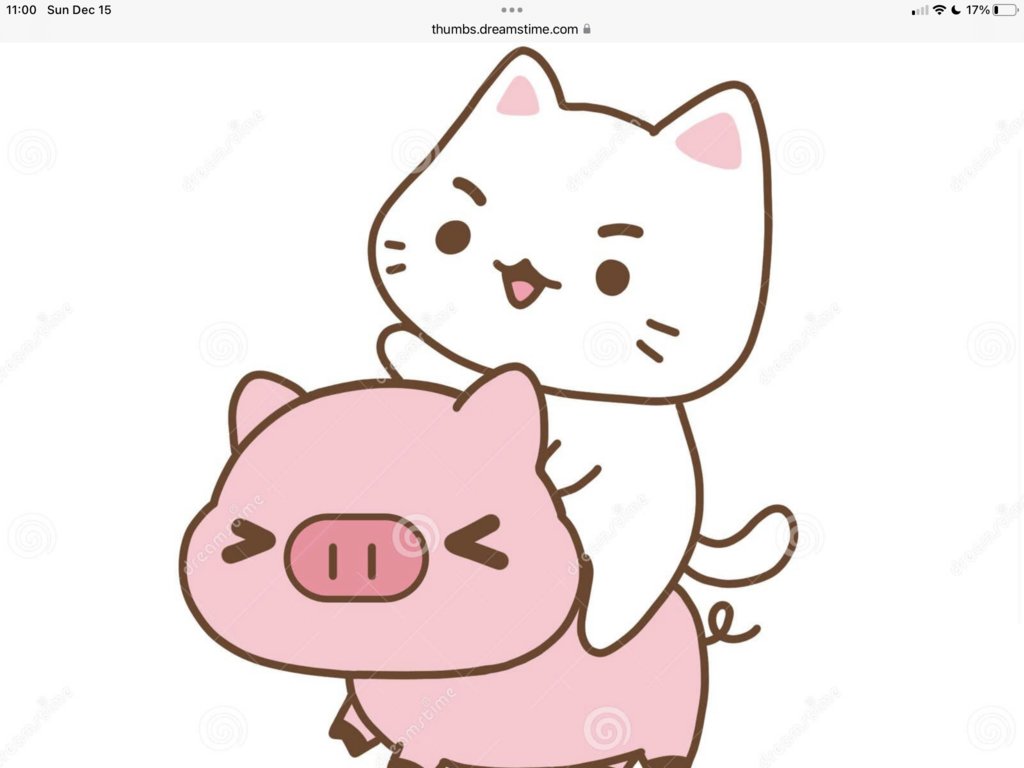 IMG_0380.png