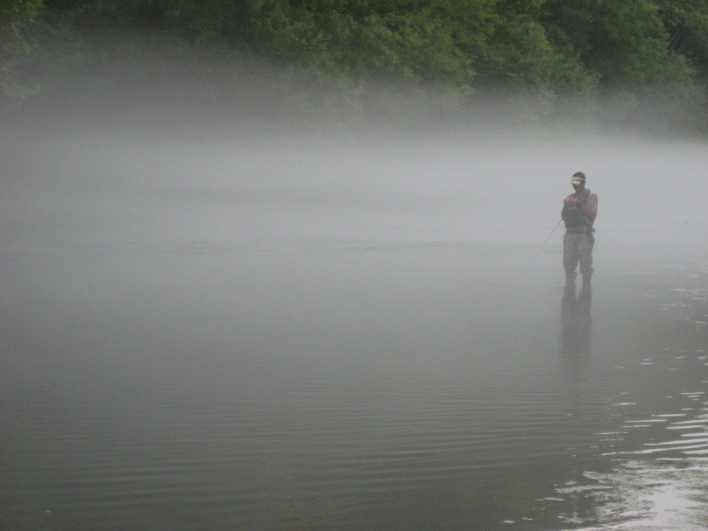IMG_0381_5aa397415c6f050d10d3ff02bcd670a0f8236a1d.jpg