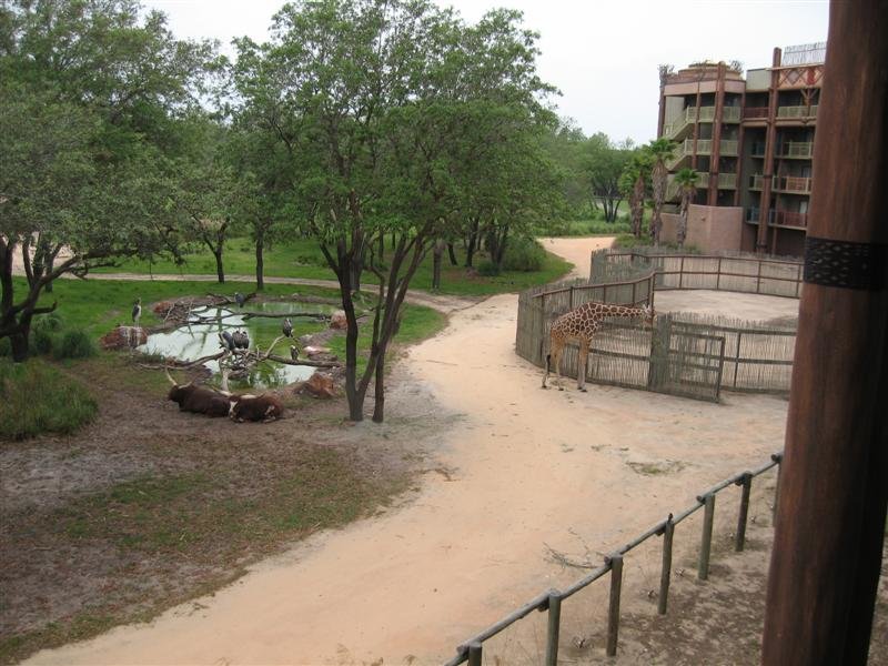 IMG_0411 (Medium).jpg