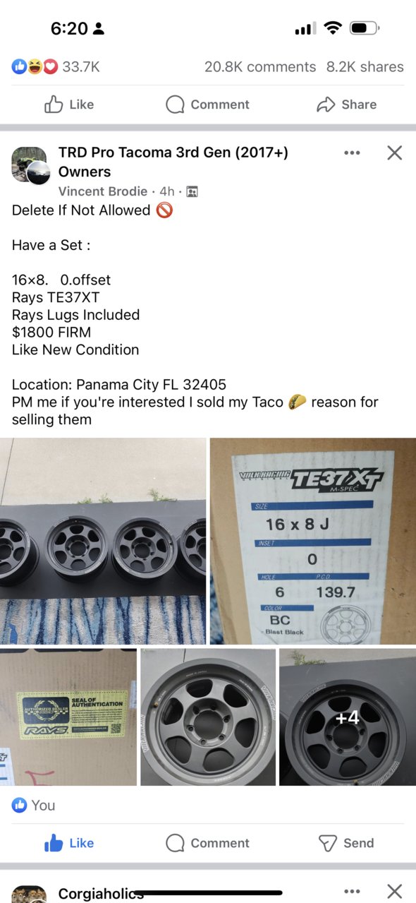 IMG_0447.png