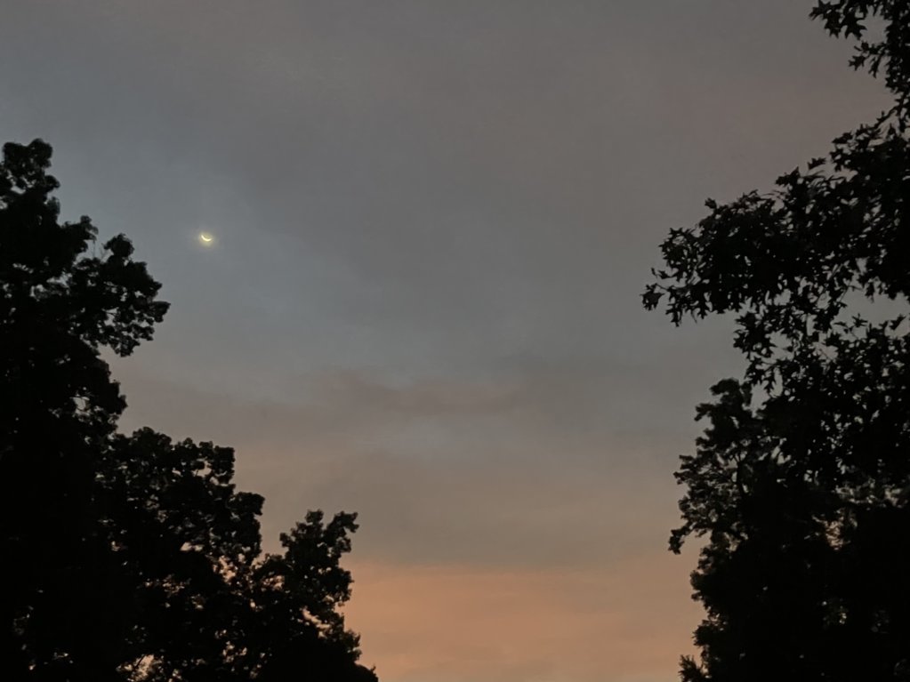 IMG_0480.jpg