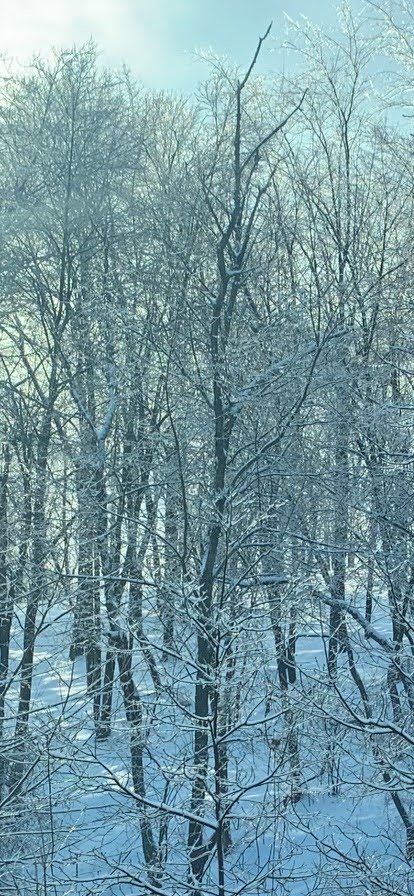 IMG_0500.jpg