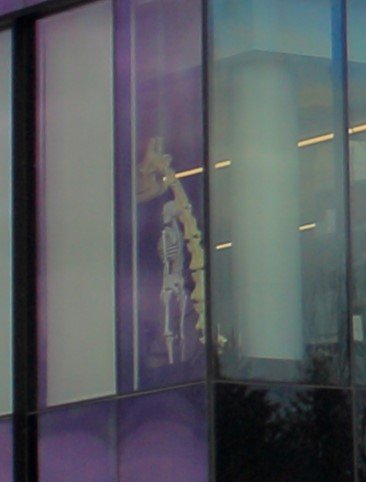 IMG_0505-crop.jpg