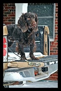 IMG_0510.jpg