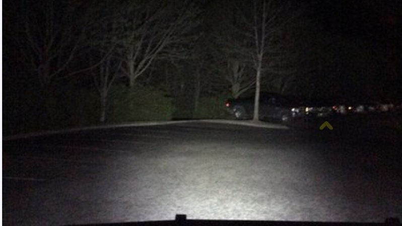 IMG_0526.jpg