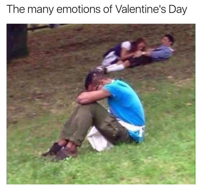 IMG_0530.PNG.jpg