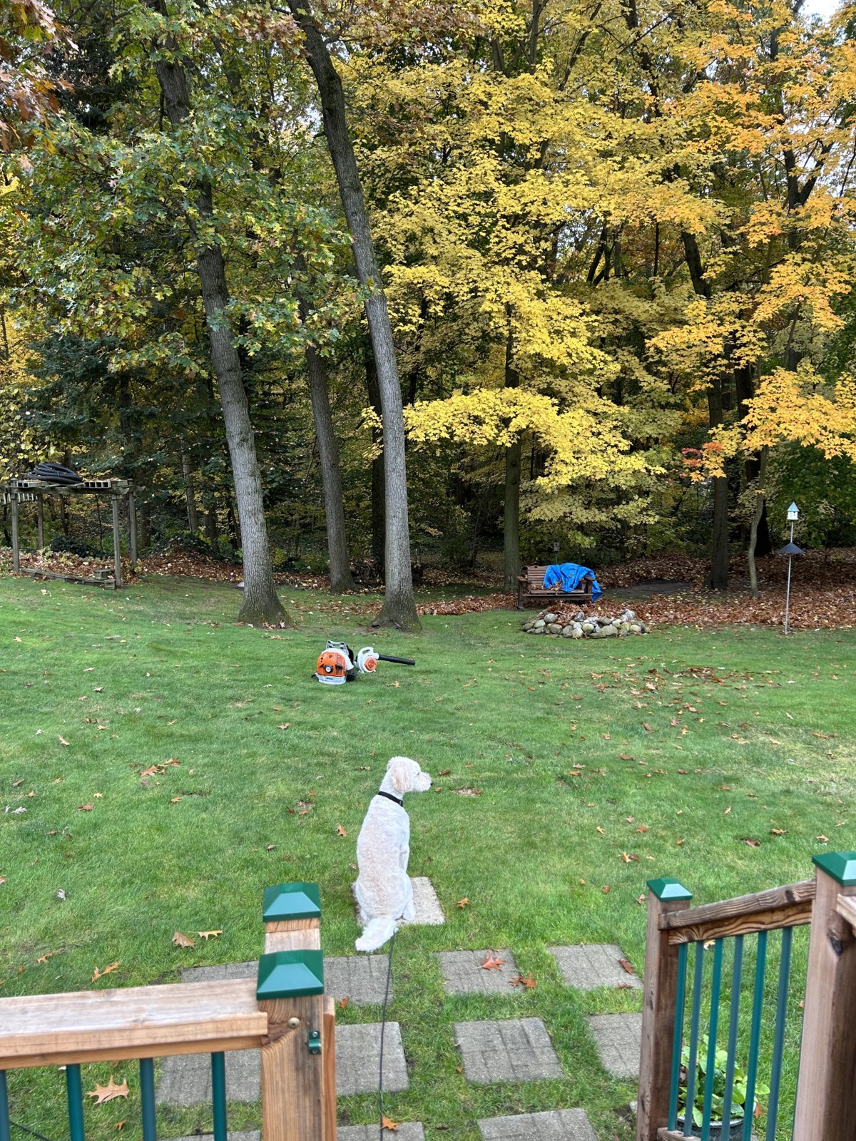 IMG_0534.jpg