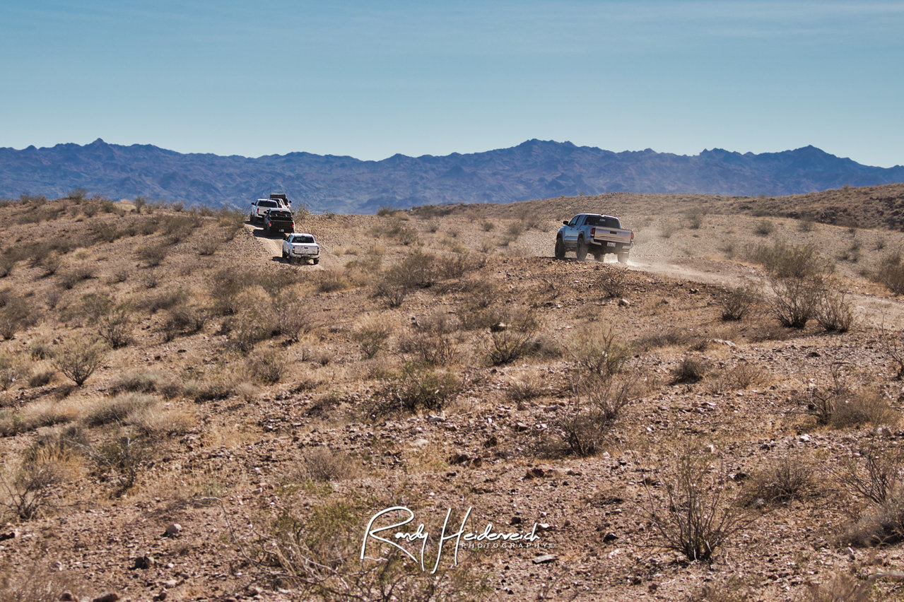 IMG_0535_31.jpg