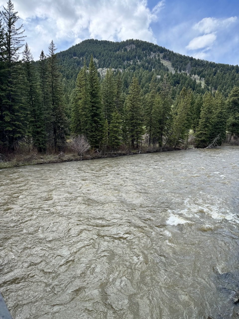 IMG_0577.jpg