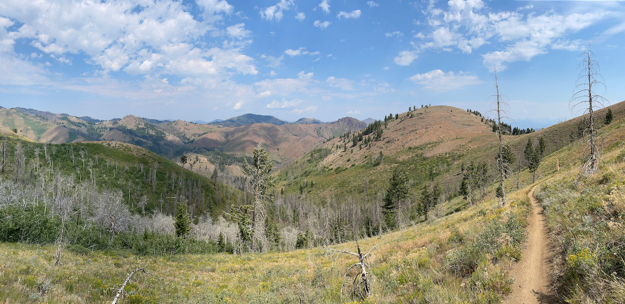 IMG_0581.jpg