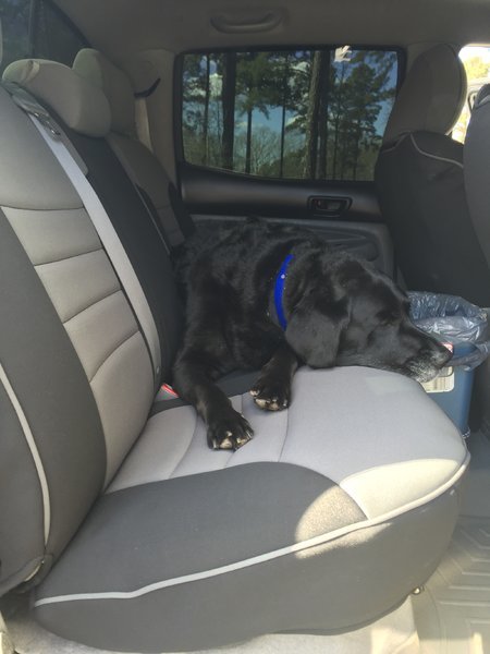 tundra back seat dog cover