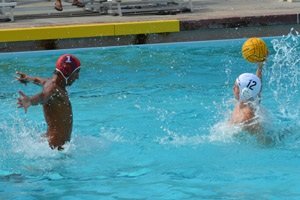 IMG_0595.jpg