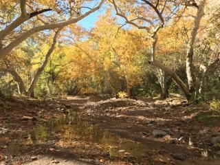 IMG_0609.jpg
